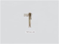 藏品(蟻蛉88)的圖片